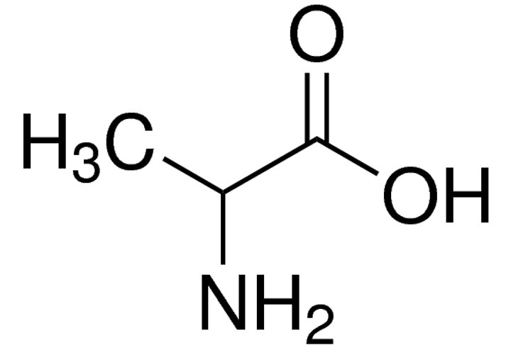 alanine nonessential amino acid - gezro
