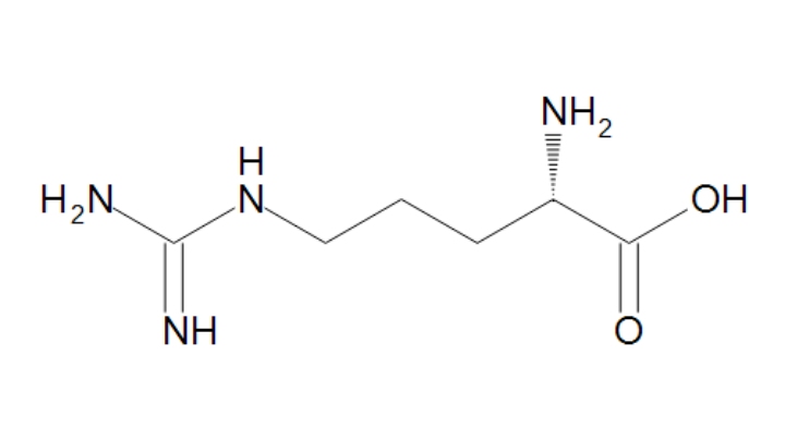 arginine nonessential amino acid - gezro