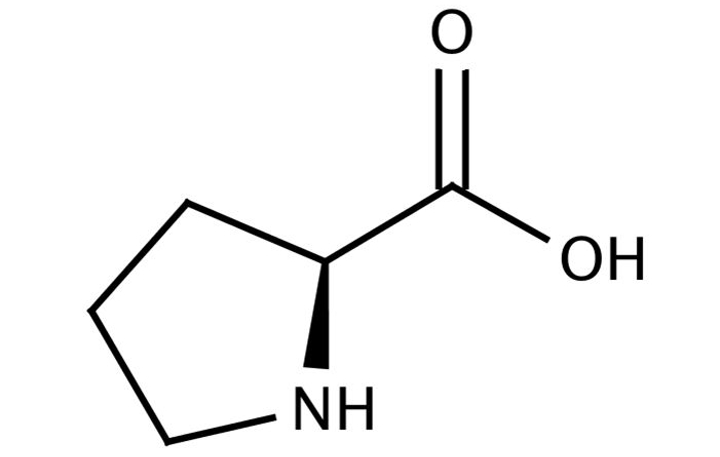 proline nonessential amino acid - gezro