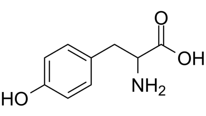 tyrosine nonessential amino acid - gezro